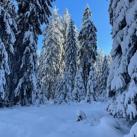 Laura Ferienhaus Renchen